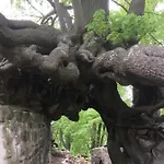 Quedlinburg Ot Gernrode Harz * Gernrode (Saxony-Anhalt)