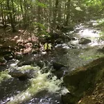 Quedlinburg Ot Gernrode Harz Gernrode (Saxony-Anhalt)