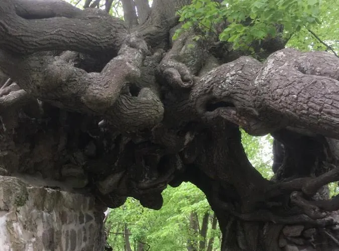 Quedlinburg Ot Gernrode Harz * Gernrode (Saxony-Anhalt)