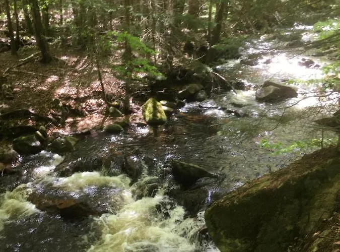 Quedlinburg Ot Gernrode Harz Gernrode (Saxony-Anhalt)